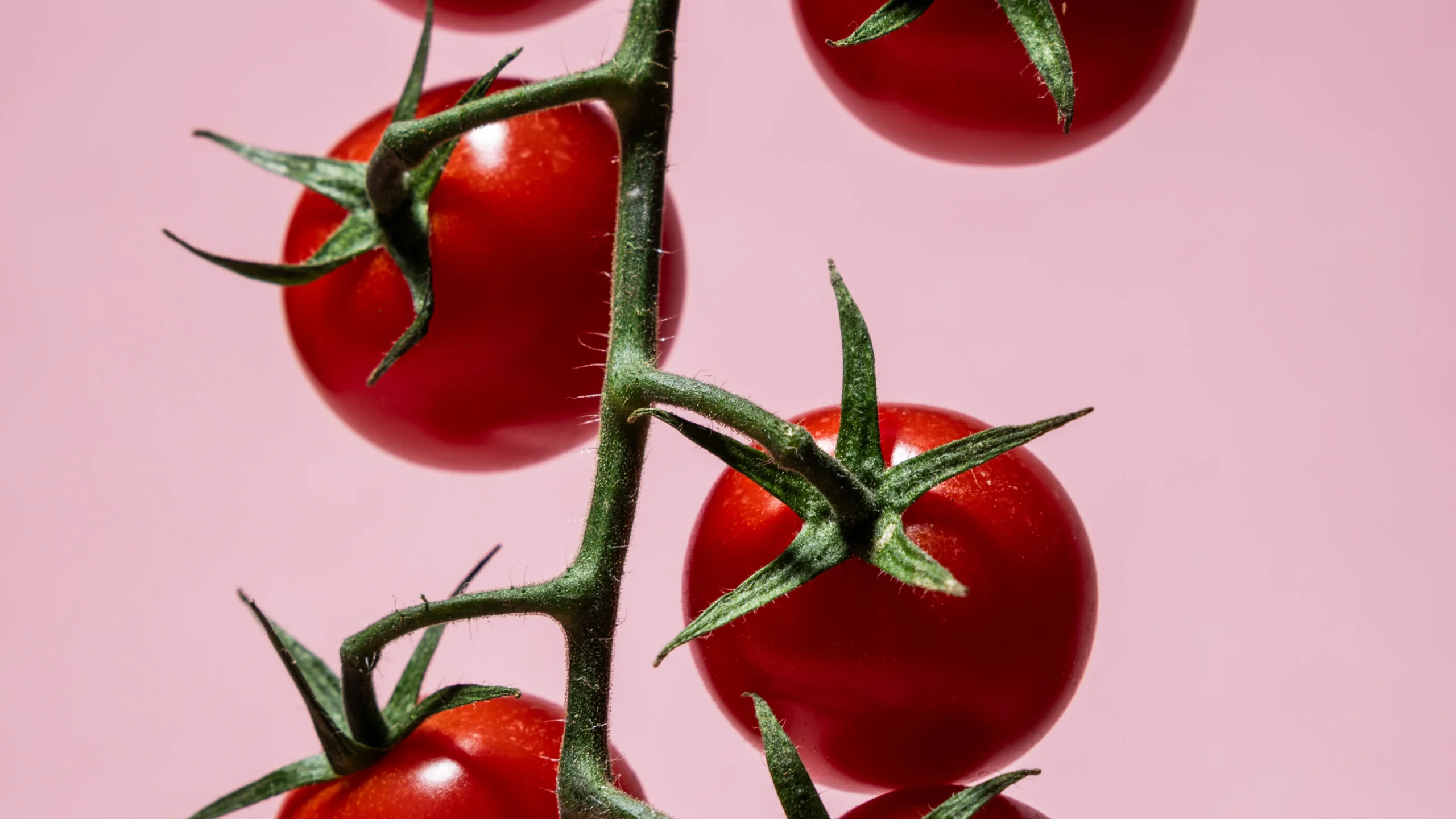 5_miniokruhlecherry_